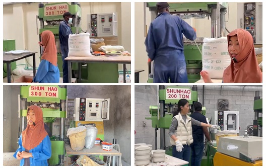Shunhao crockery melamine molding machine