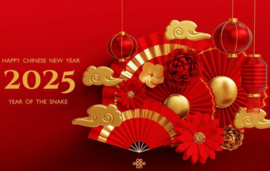 Chinese New Year Holiday Notice 2025