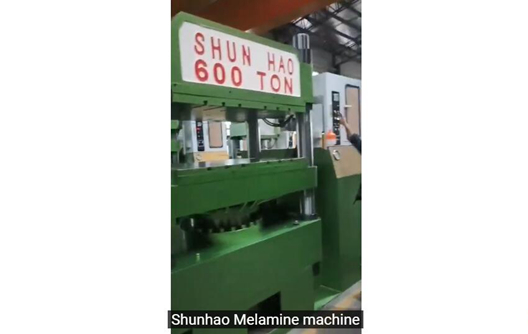 What is the Model of Molding Machine for Melamine Big Tray?