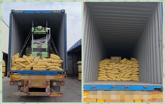 Shunhao Automatic Melamine Tableware Machinery and Molding Compound Shipment